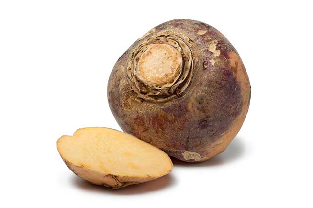 iStock_23666155_LARGE