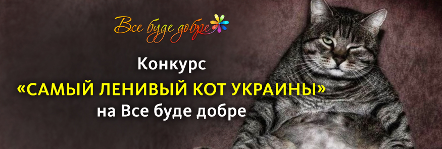 «Найледачіший кіт України» – новий конкурс на «Все буде добре»! конкурс-кіт