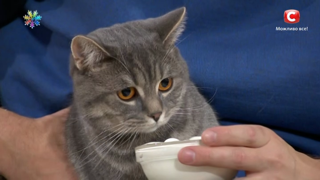 vlcsnap-2017-02-23-13h02m39s58