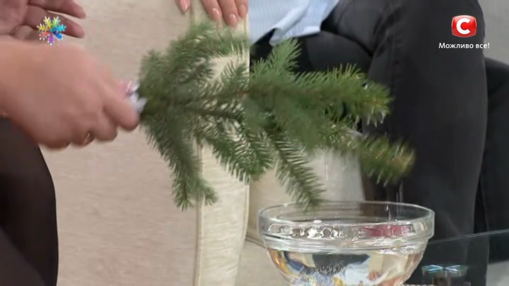 vlcsnap-2017-02-24-14h45m54s35