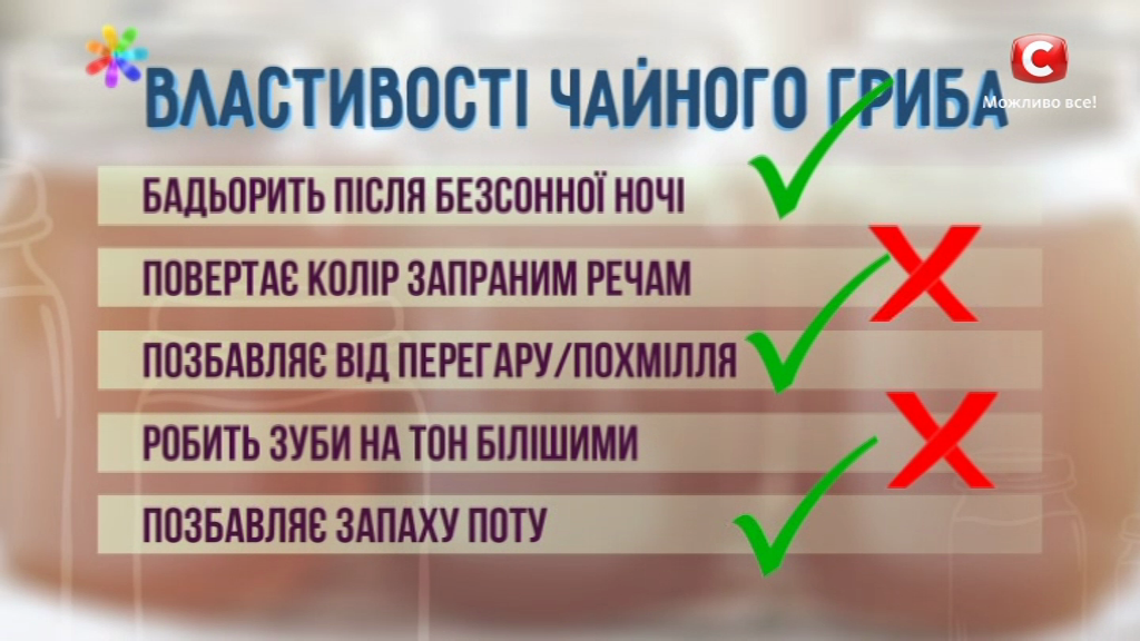 Топ-5 полезных свойств чайного гриба: тест-драйв vlcsnap-2017-03-17-14h45m16s59