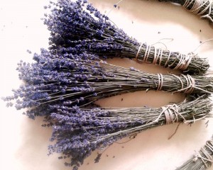 Домашні кольорові макарони фарфале: рецепт Соні Шидлик lavanda