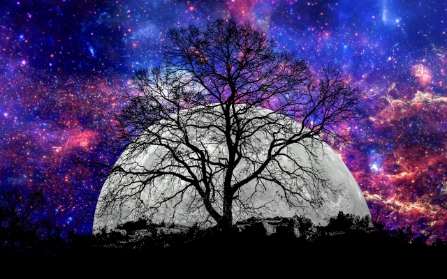 iStock-685779554