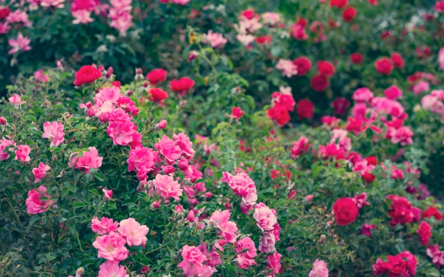 iStock-658376332cfn nvbvh