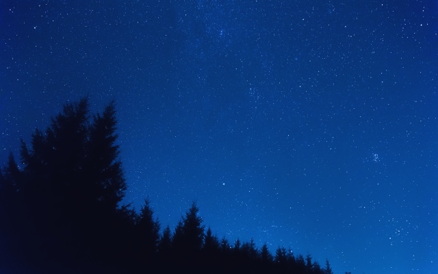 iStock-859560580