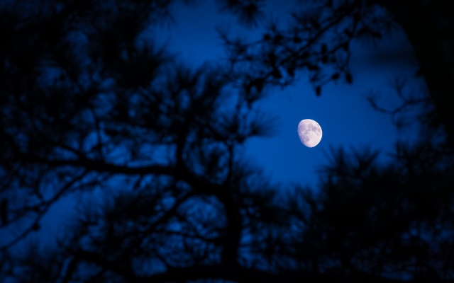 iStock-872146014