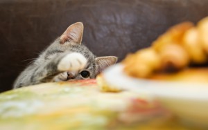 iStock-469076384