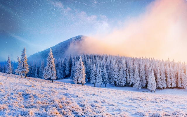 Гороскоп на сегодня (1 декабря 2017) от «Все буде добре» iStock-879677208