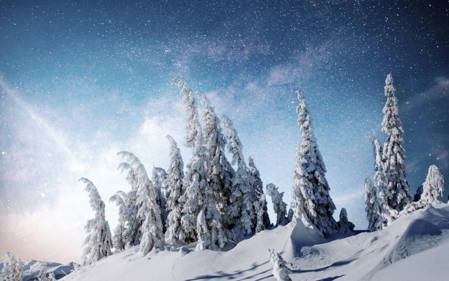 iStock-879677216