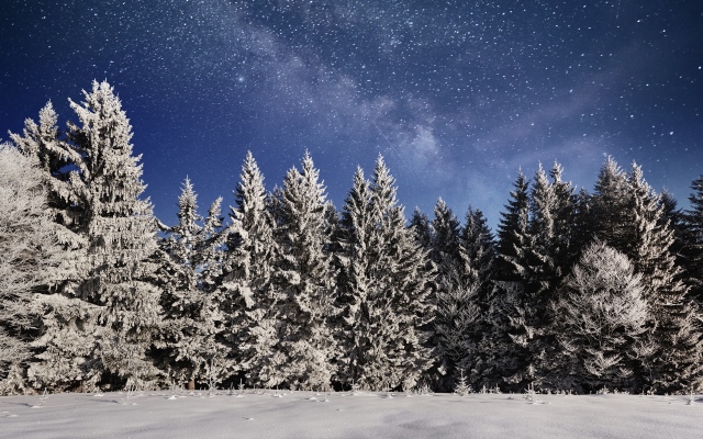 Гороскоп на сегодня (22 декабря 2017) от «Все буде добре» iStock-888856852