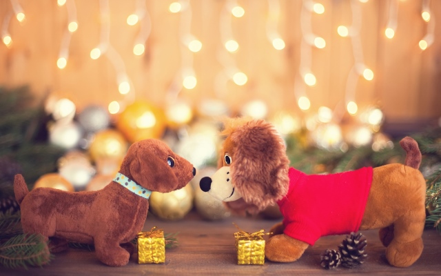 Финансовый гороскоп на 2018 год от Яны Пасынковой: что говорят карты Таро iStock-859576162