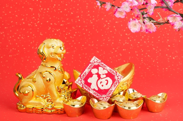 Финансовый гороскоп на 2018 год от Яны Пасынковой: что говорят карты Таро iStock-884727800