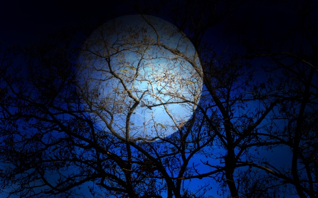 iStock-462286305