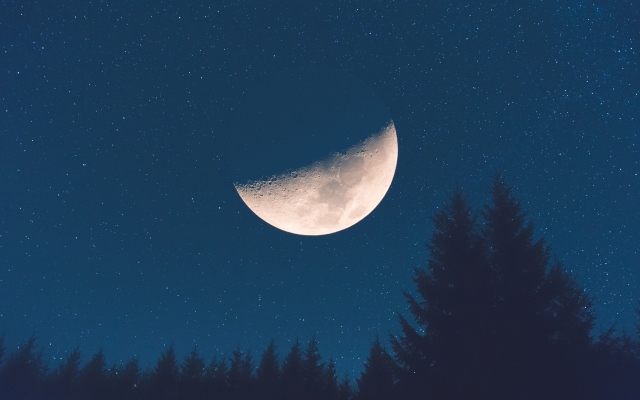 iStock-912461176