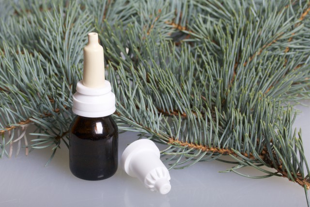 Spray nasal. The bottle with the medicine, with the cap removed, stands on the white surface of the table. Surrounded by branches of blue spruce.