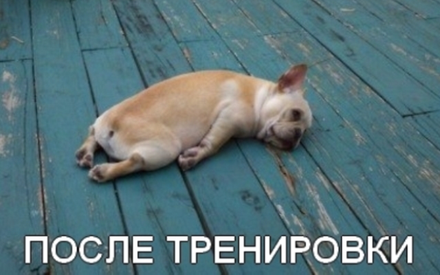 Почему так важно заниматься спортом в меру? 1367439961_1267980330