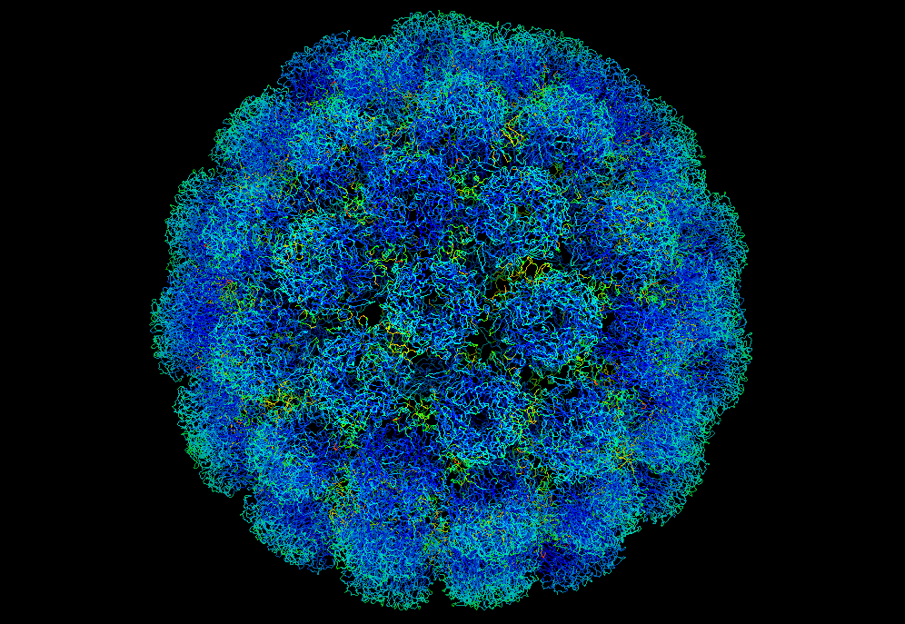 Чим небезпечні для дітей хвороби, від яких щеплять? Symian-virus-401