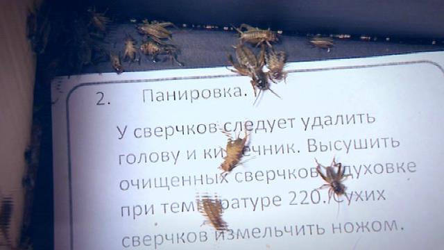 Кулинары приготовили чупа-чупсы из пауков и тараканов vlcsnap-2016-11-22-13h18m31s223