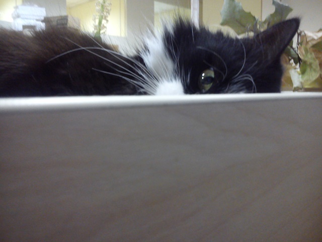 Чим дивувала студентів Медіа Академія ТалантLive? DSC_0793