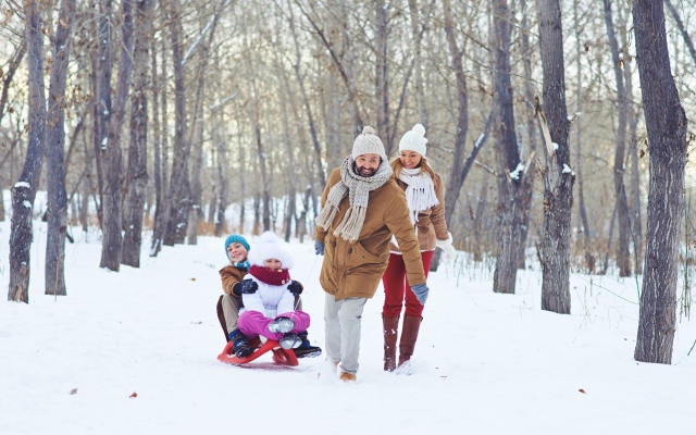 «Наречена для тата»: тонкости американской версии проекта «Single Dad Seeking» iStock-499480776