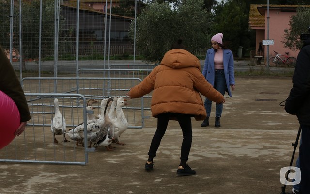 Фотоподборка: птичьи приключения «Світами за скарбами» в Риме 12
