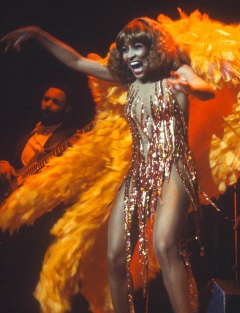 Визначили володарку найкрасивіших ніжок на планеті im578x383-tina_turner
