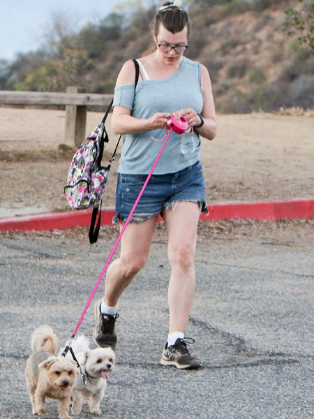 Мілла Йовович після пологів ніяк не відновить фігуру EXCLUSIVE: Milla Jovovich is seen hiking in Runyon park with her dogs 3 months after giving birth to her baby daughter Dashiel in Los Angeles, California. Pictured: Milla Jovovich Ref: SPL1070007 020715 EXCLUSIVE Picture by: Bauer-Griffin/Bauergriffin.com