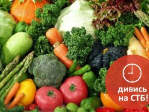 Эксперты расскажут, стоит ли отказываться от мяса